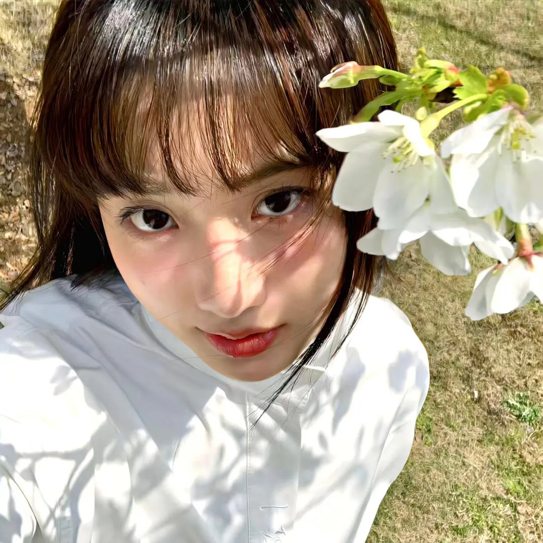灰姑娘药剂师