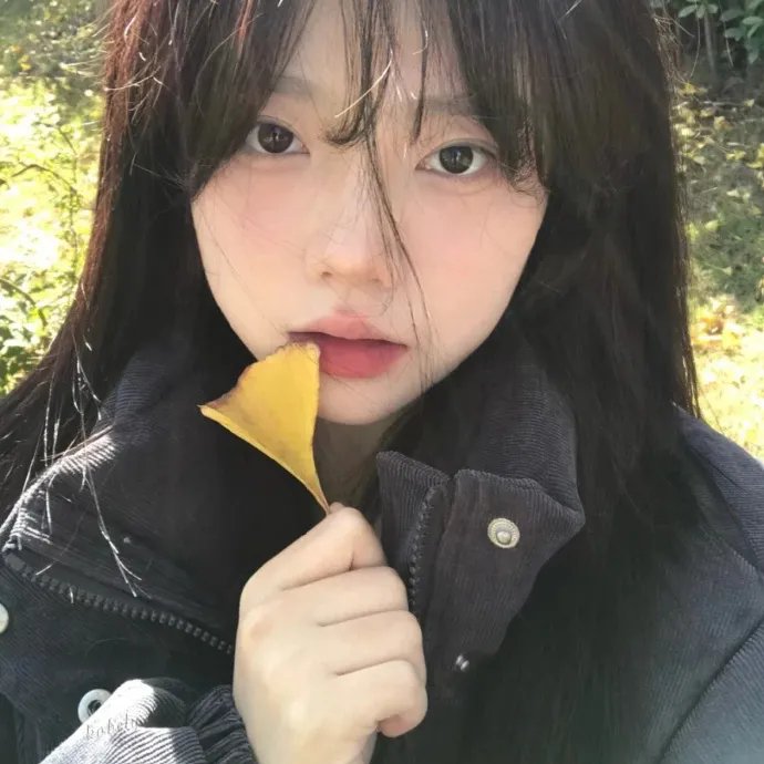 莱辛巴赫瀑布